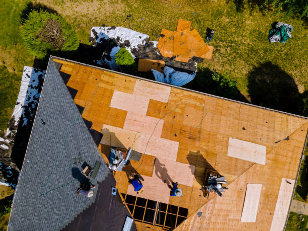 Best Metal Roofing Contractor  in Munster, IN