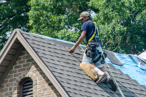 Best Roof Repair Services  in Munster, IN